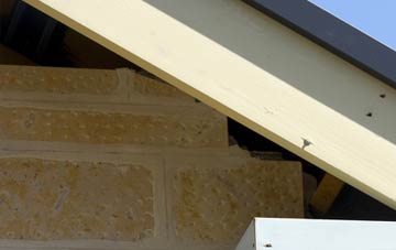 soffit repair Priestfield